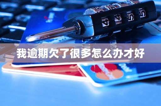 我逾期欠了很多怎么办才好