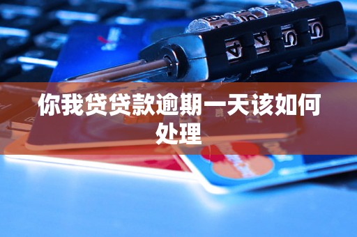 你我贷贷款逾期一天该如何处理 你我贷贷款逾期一天该如何处理