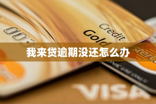 我来贷逾期没还怎么办 我来贷逾期没还怎么办