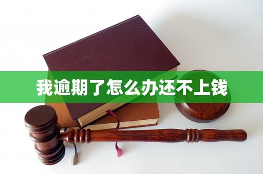 我逾期了怎么办还不上钱