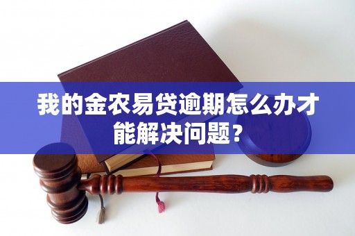 我的金农易贷逾期怎么办才能解决问题？