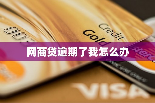 网商贷逾期了我怎么办