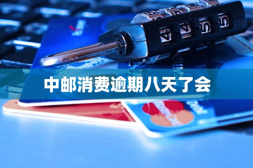 中邮消费逾期八天了会