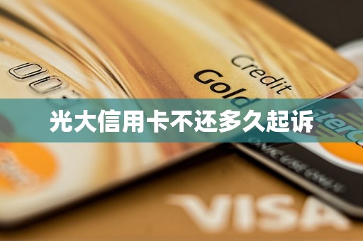 光大信用卡不还多久起诉