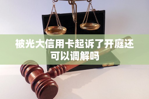 被光大信用卡起诉了开庭还可以调解吗