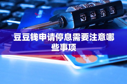 豆豆钱申请停息需要注意哪些事项