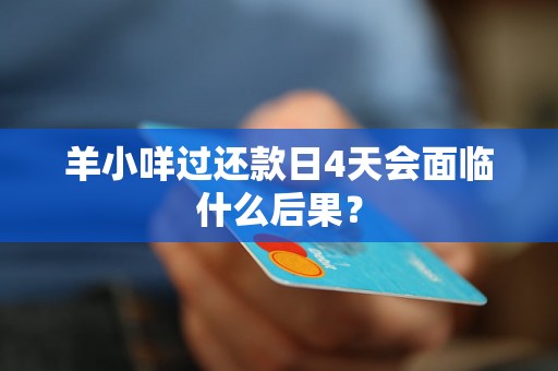 羊小咩过还款日4天会面临什么后果？
