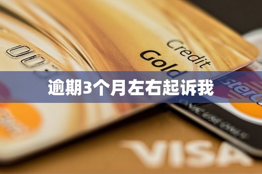 逾期3个月左右起诉我