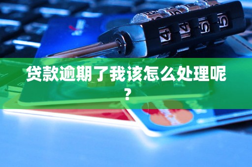 贷款逾期了我该怎么处理呢? 贷款逾期了我该怎么处理呢?