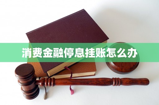 消费金融停息挂账怎么办