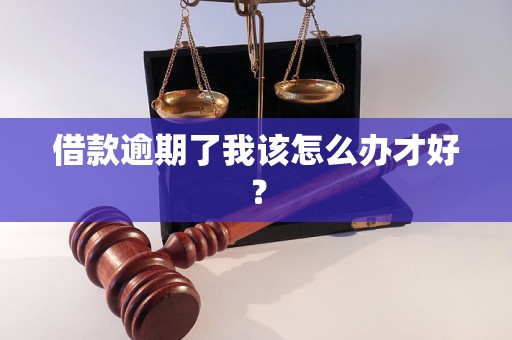 借款逾期了我该怎么办才好？