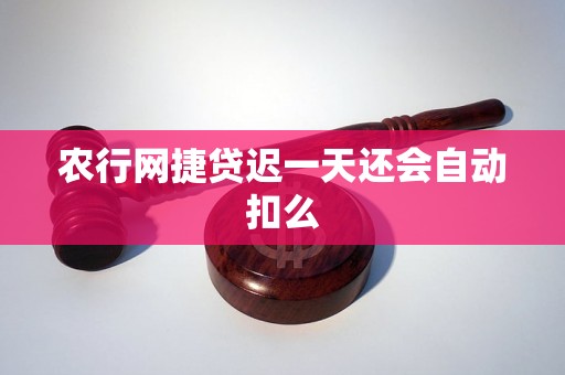 农行网捷贷迟一天还会自动扣么