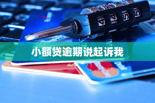 小额贷逾期说起诉我
