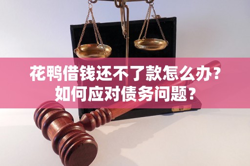 花鸭借钱还不了款怎么办？如何应对债务问题？