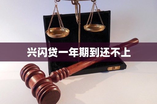 兴闪贷一年期到还不上