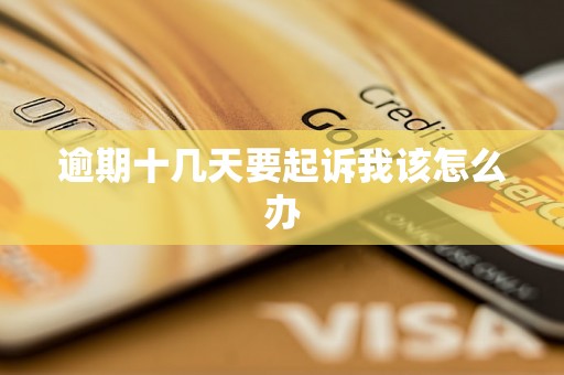 逾期十几天要起诉我该怎么办