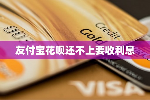 友付宝花呗还不上要收利息