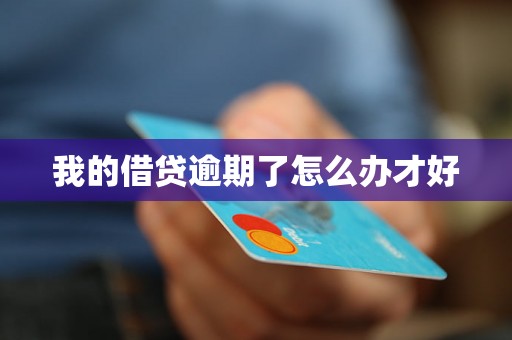 我的借贷逾期了怎么办才好