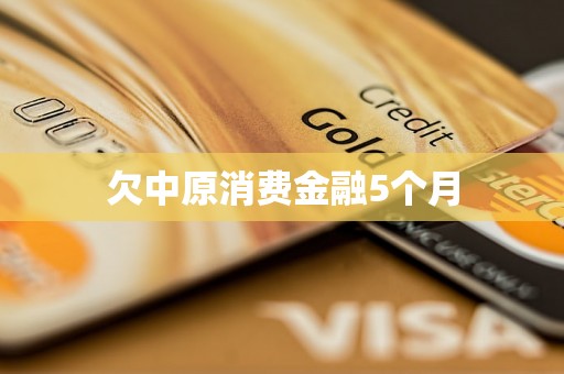 欠中原消费金融5个月 欠中原消费金融5个月