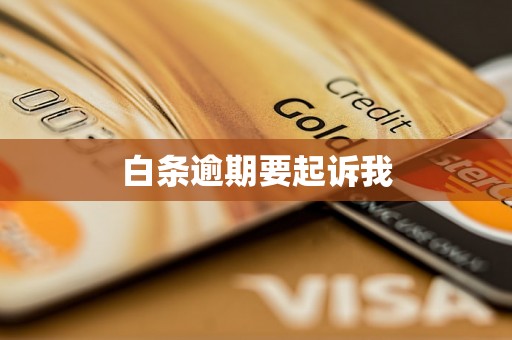 白条逾期要起诉我