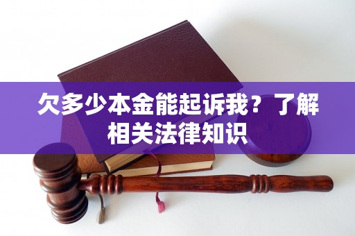 欠多少本金能起诉我？了解相关法律知识