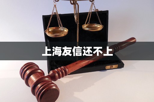 上海友信还不上