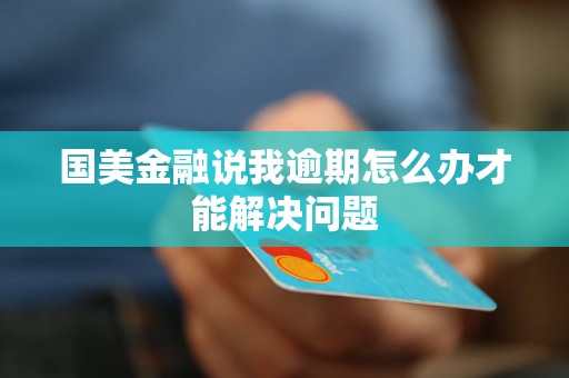 国美金融说我逾期怎么办才能解决问题