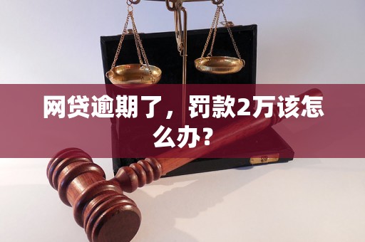 网贷逾期了，罚款2万该怎么办？