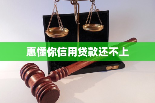 惠懂你信用贷款还不上