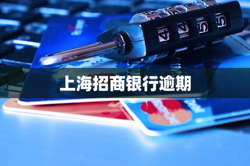 上海招商银行逾期