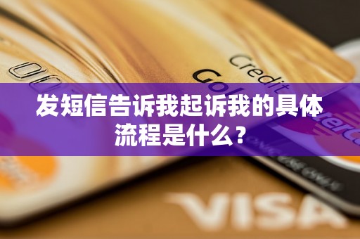 发短信告诉我起诉我的具体流程是什么？