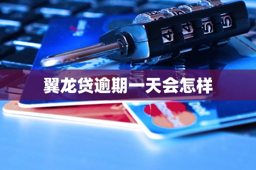 翼龙贷逾期一天会怎样