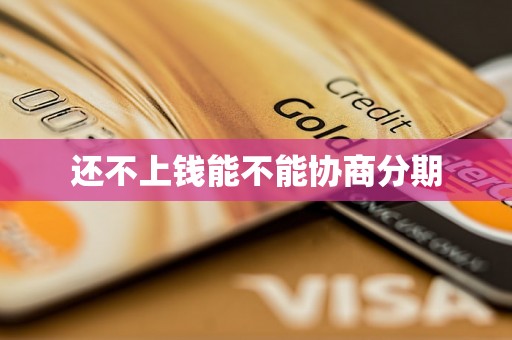 还不上钱能不能协商分期
