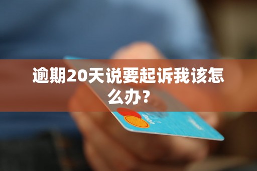 逾期20天说要起诉我该怎么办？