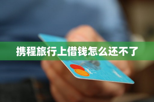 携程旅行上借钱怎么还不了