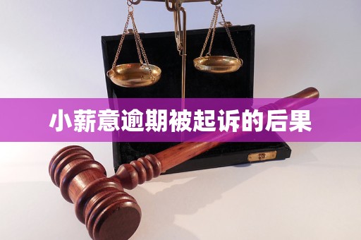 小薪意逾期被起诉的后果