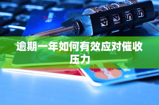 逾期一年如何有效应对催收压力