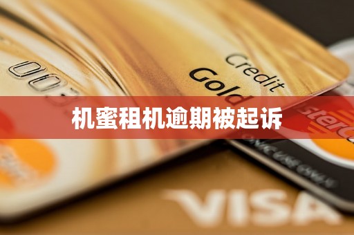 机蜜租机逾期被起诉