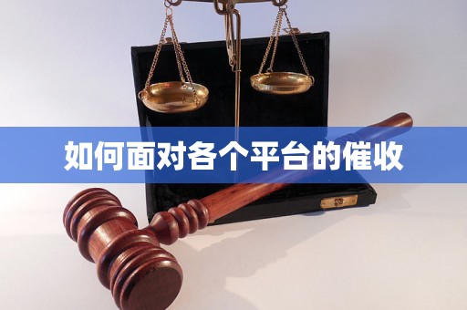 如何面对各个平台的催收