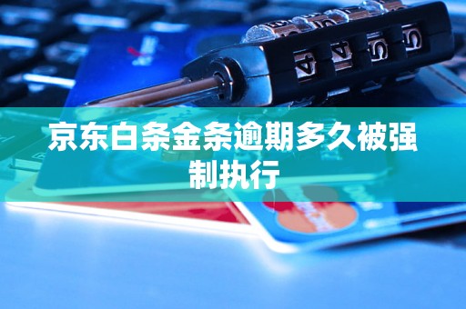 京东白条金条逾期多久被强制执行