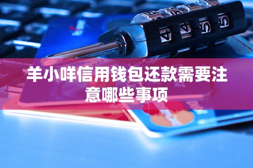 羊小咩信用钱包还款需要注意哪些事项