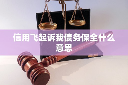 信用飞起诉我债务保全什么意思 信用飞起诉我债务保全什么意思