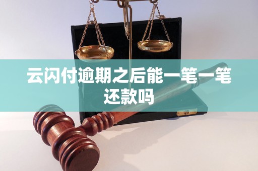 云闪付逾期之后能一笔一笔还款吗