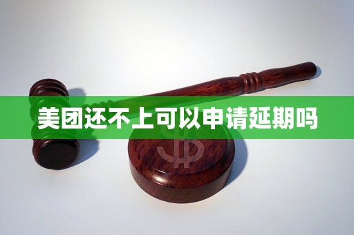 美团还不上可以申请延期吗