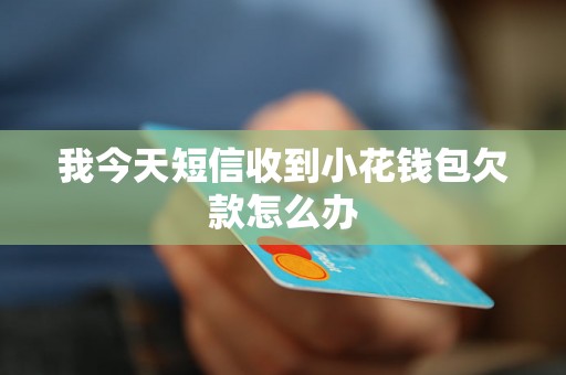 我今天短信收到小花钱包欠款怎么办