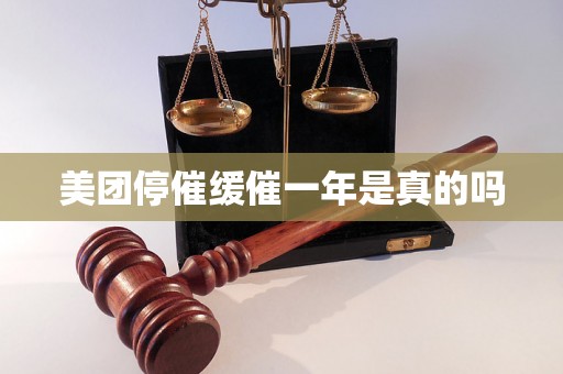 美团停催缓催一年是真的吗