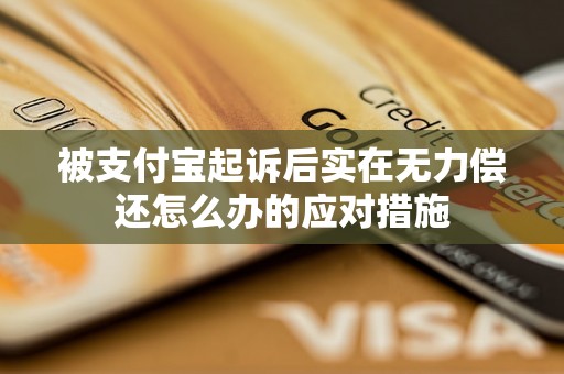 被支付宝起诉后实在无力偿还怎么办的应对措施
