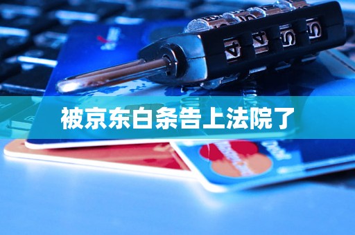 被京东白条告上法院了 被京东白条告上法院了