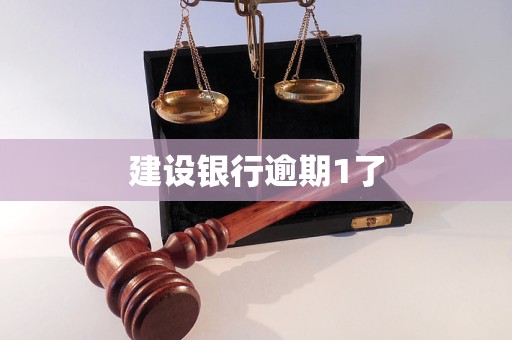 建設銀行逾期1了