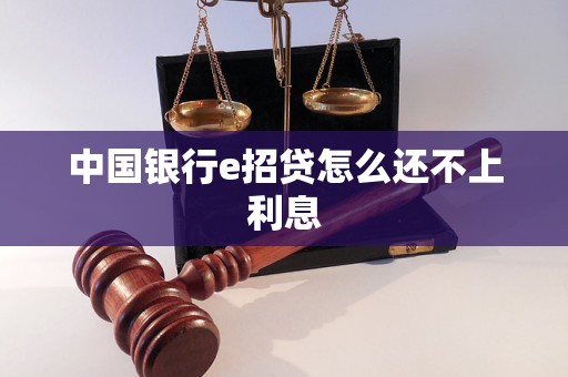 中國銀行e招貸怎么還不上利息